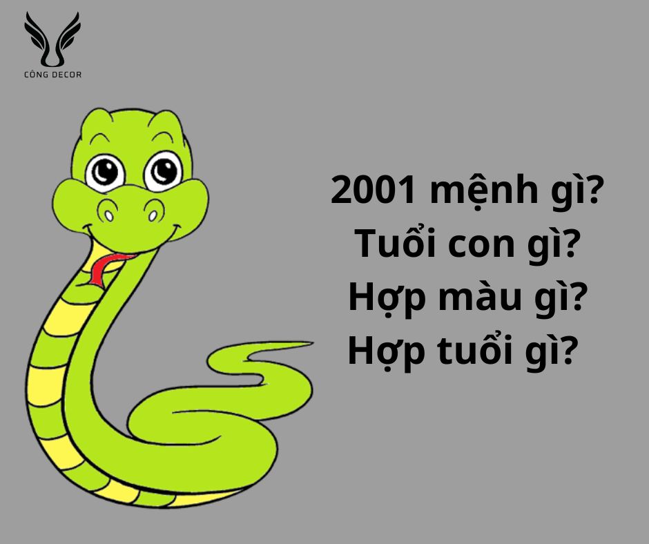 2001-menh-gi