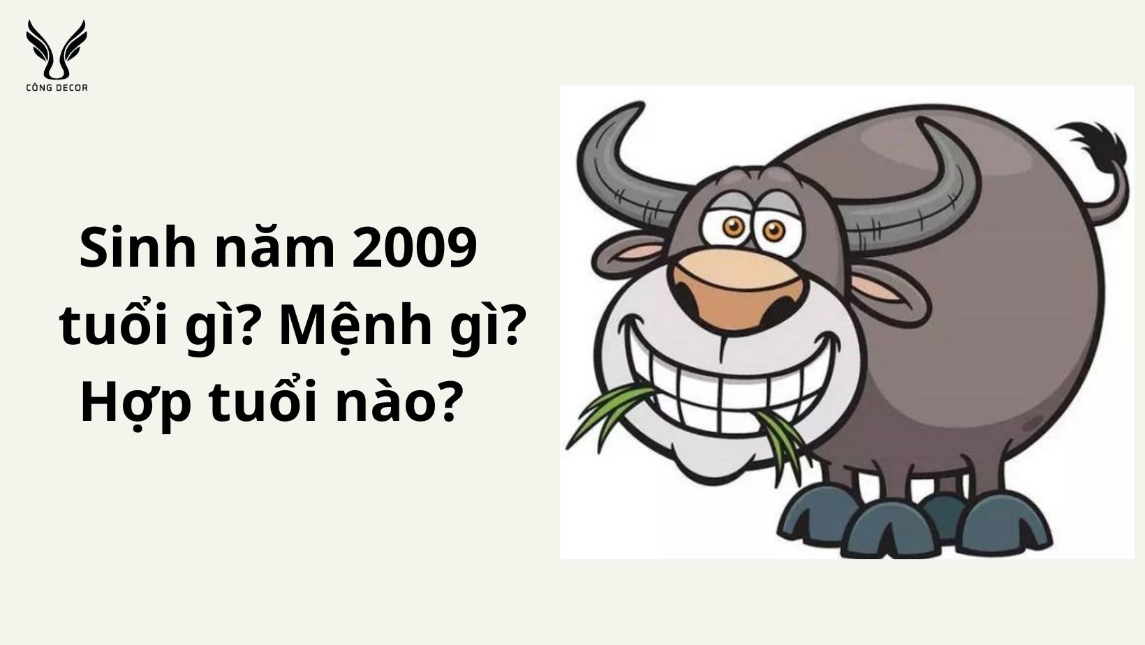 sinh-nam2009-menh-gi
