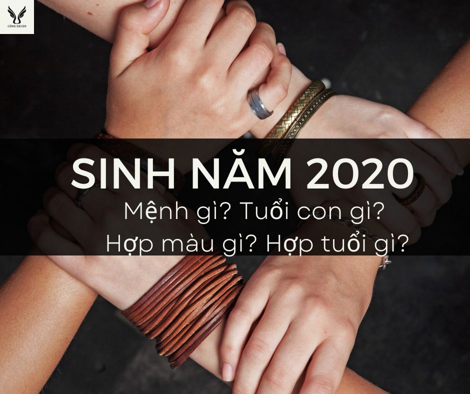 Sinh năm 2020 mệnh gì? Tuổi con gì? Hợp màu gì? Hợp tuổi gì?