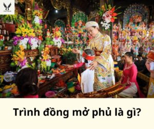 Trình đồng mở phủ là gì?