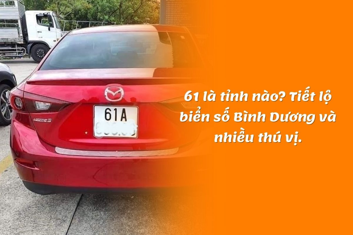 bien-so-xe-61-o-tinh-nao-o-dau