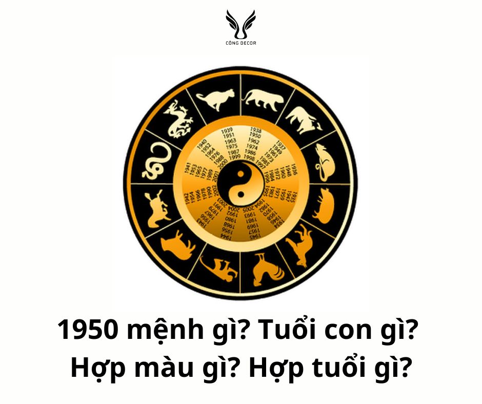 1950 mệnh gì? Tuổi con gì? Hợp màu gì? Hợp tuổi gì?