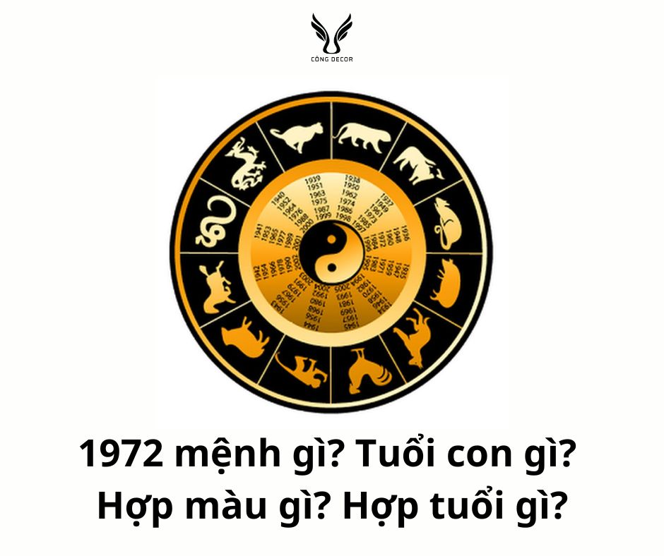 1972 mệnh gì? Tuổi con gì? Hợp màu gì? Hợp tuổi gì?