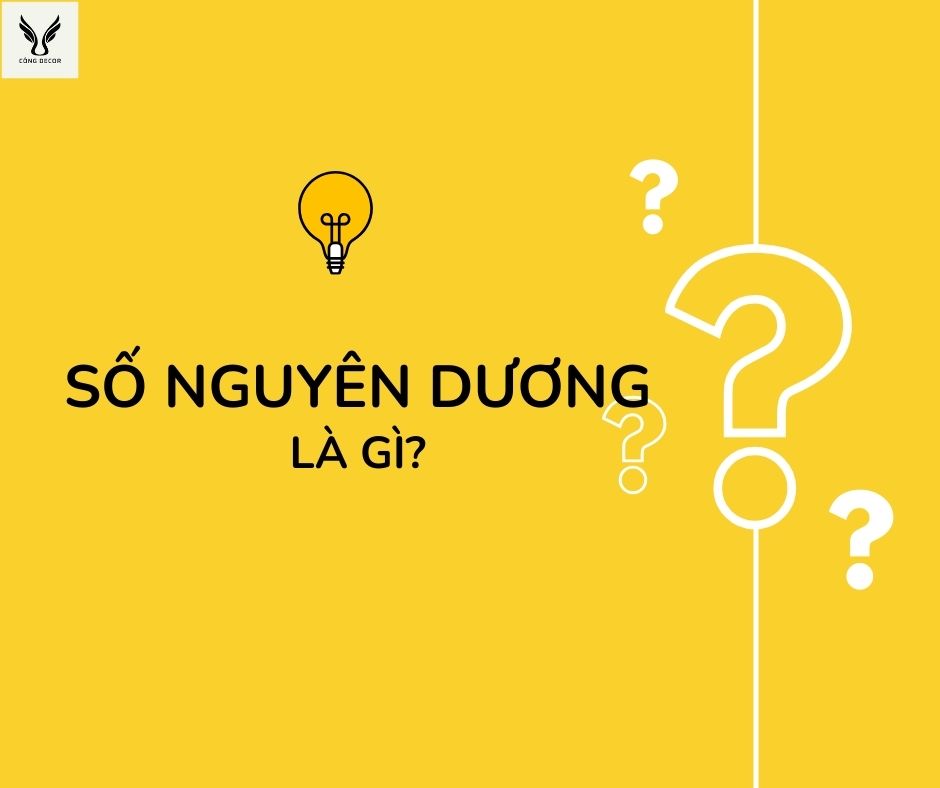 Số nguyên dương là gì?