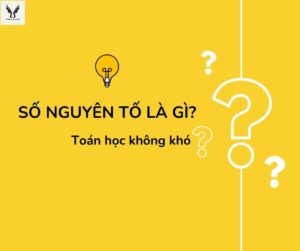 Số nguyên tố là gì?