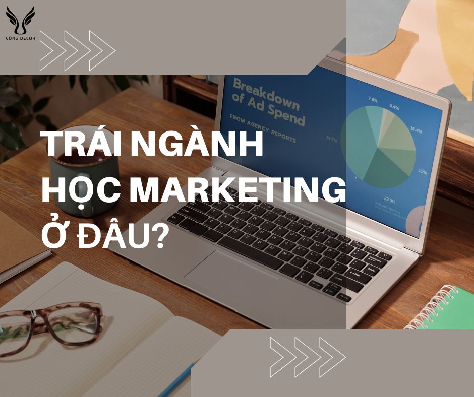 Trái ngành học Marketing ở đâu?