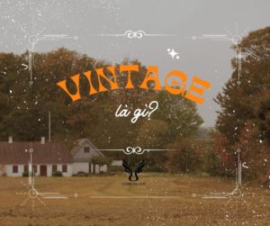 Vintage là gì? Retro là gì? 10 app chỉnh màu Vintage đẹp nhất