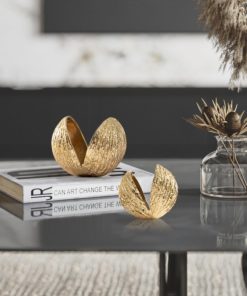 Mô Hình Vỏ Hạt Trang Trí Hiện Đại